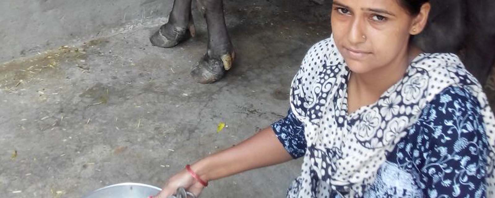 Hemlata with her Buffalo 